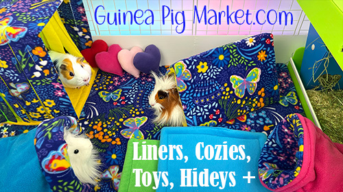 Guinea Pig Market for Cagetopia liners, cozies, toys and hideys